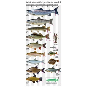 Plakat "Kalade mõõdud"